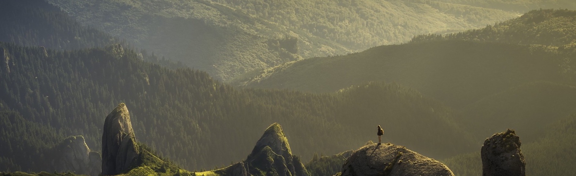 風のない日の日記